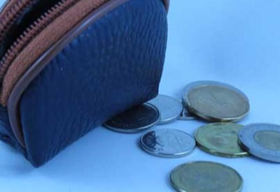 Wallet. Coins.